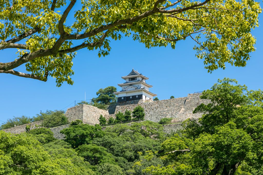 AdobeStock_457684058